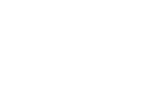 Wellington Carpet Company